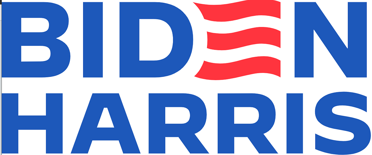 The Race for the White House 2024 by Timothy J. Sabo Leftovers