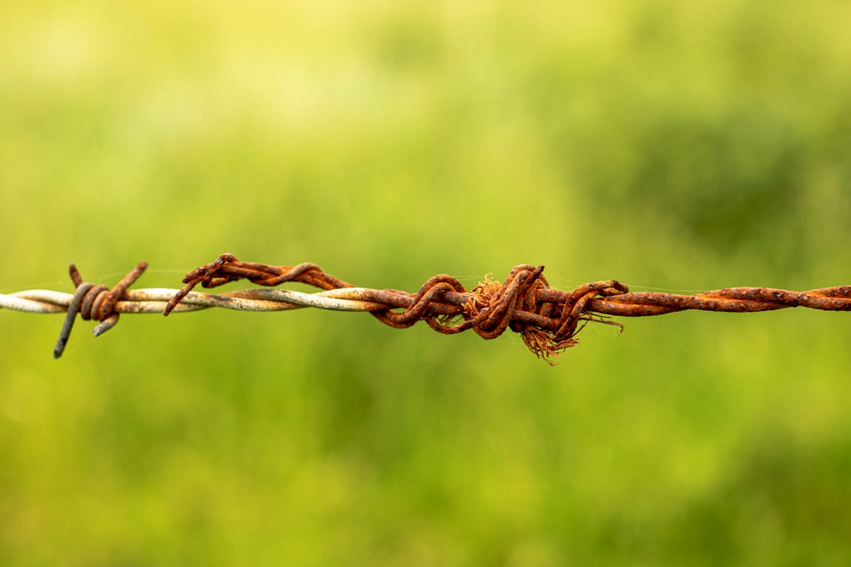 Rustic learning machine learning in rust part 5 model deployment