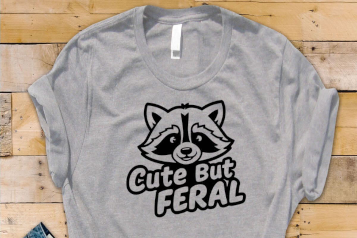 Cute but Feral Racoon Free | by Etherealedge | Aug, 2024 | Medium