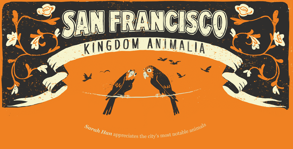 San Francisco’s Most Notable Animals