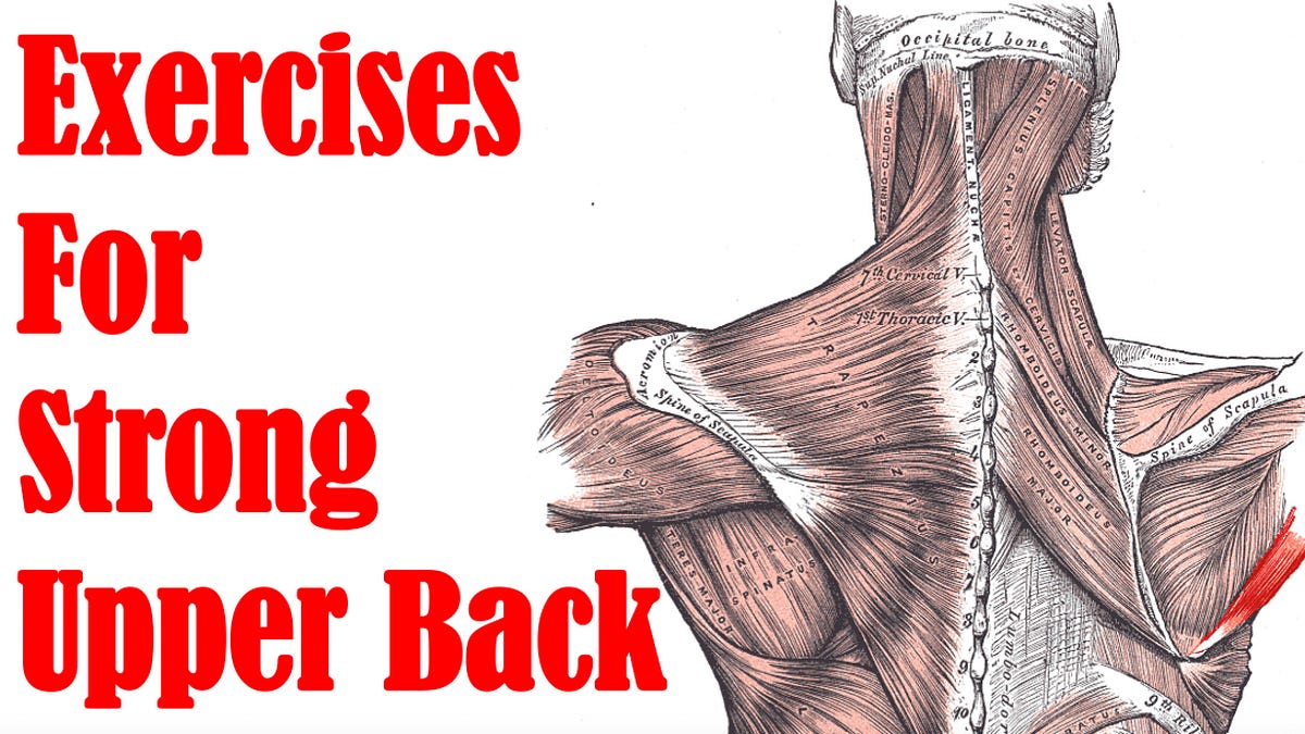 Exercises for Thick and Strong Upper Back by Rahul Yadav Medium