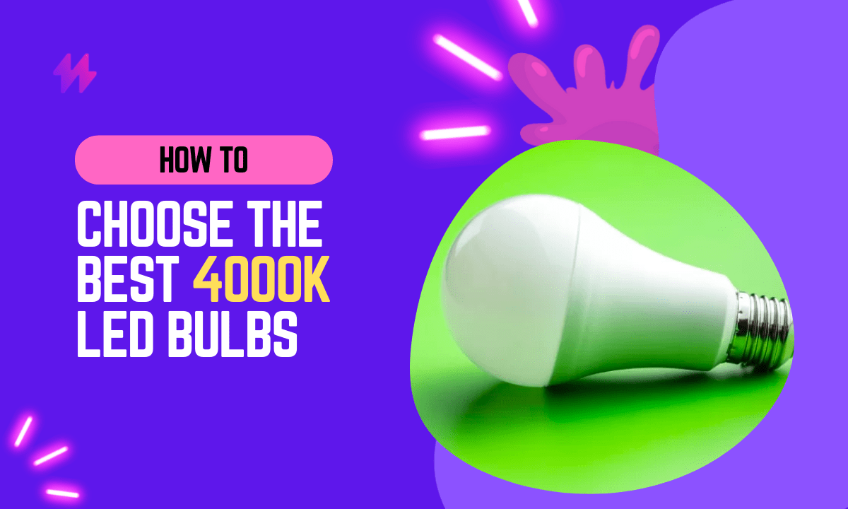 How to Choose the Best 4000k LED Bulbs | by LED Light Station | Medium