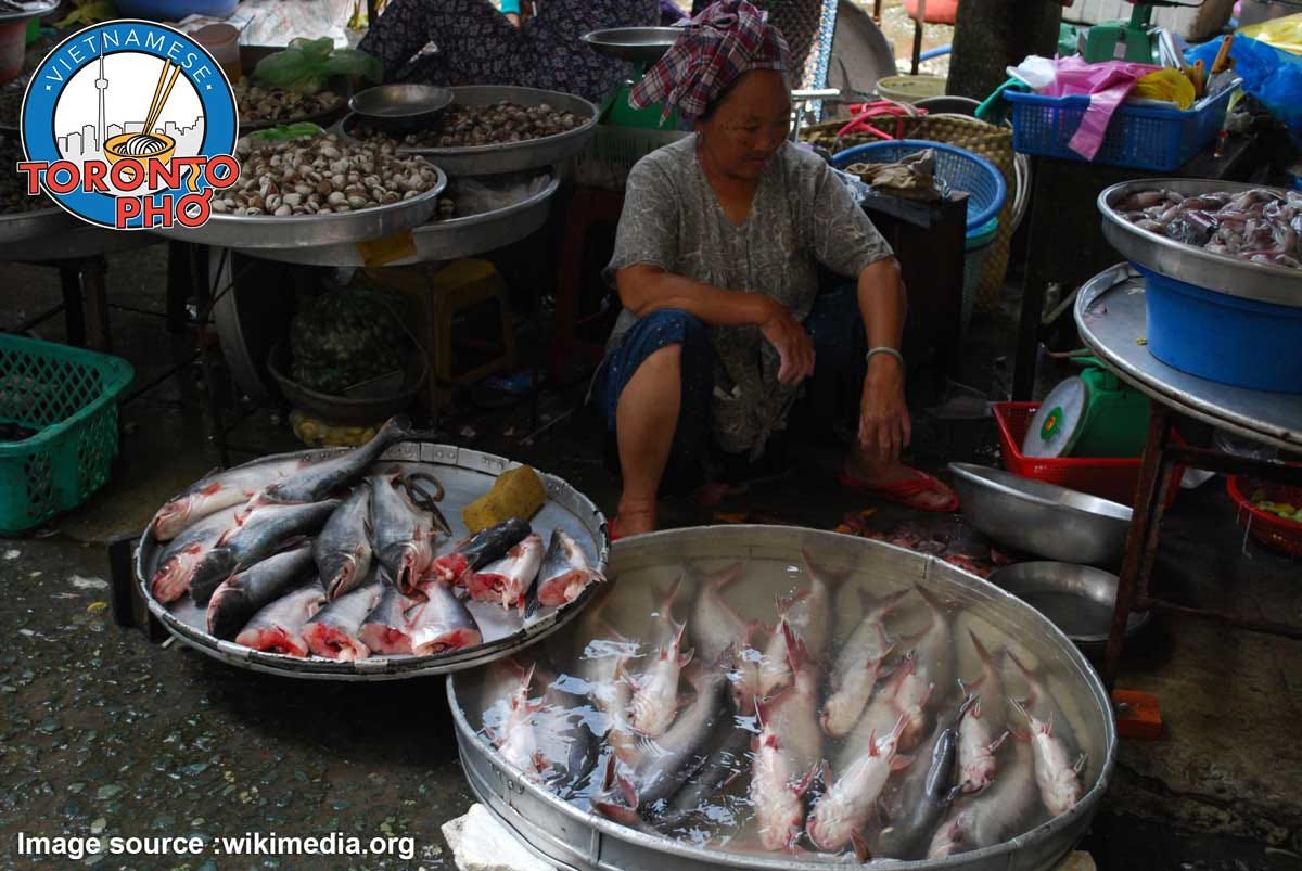 What Is Basa Fish And Is It Safe To Eat Basa Fish Imported From Vietnam what-is-basa-fish-and-is-it-safe-to-eat-basa-fish-imported-from-vietnam