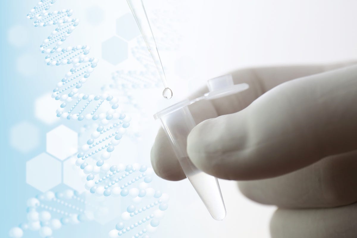Japan Prefectural Forensics Expert Falsified DNA Results For Seven ...