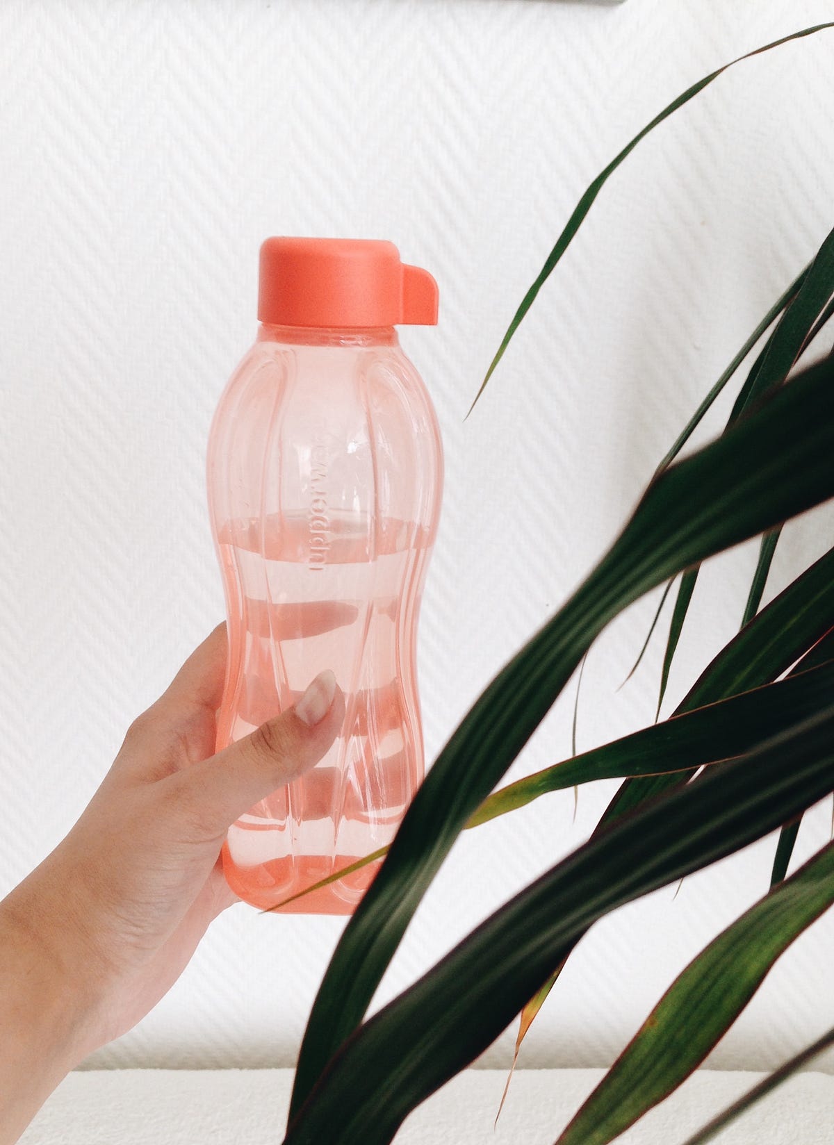 3 Key Ways to Sell Tupperware. The path to selling Tupperware… by
