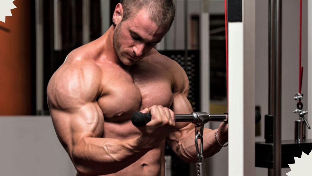 25 Best Biceps Exercises for Building Muscle - Fitbody_ninja - Medium