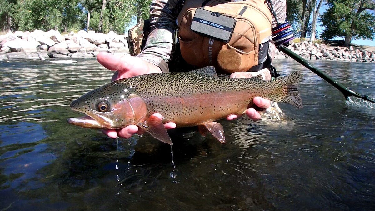 Your goto shop for flytying elegance is here! by First Drift Fly Co