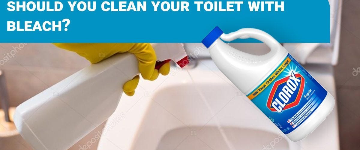 Should you clean your toilet with bleach? Dirt2Tidy Medium