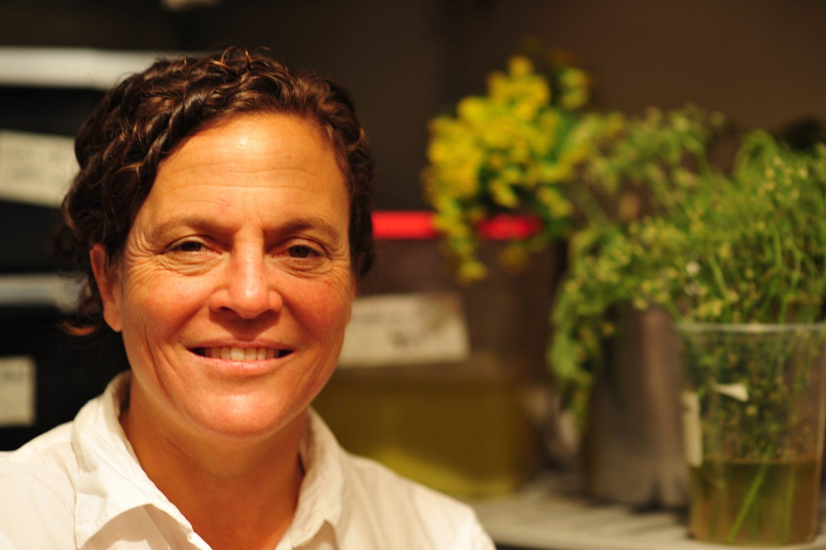 “Top Chef” Master Traci Des Jardins on Hangover Food, Burritos and the Food Scene — The Bold Italic — San Francisco