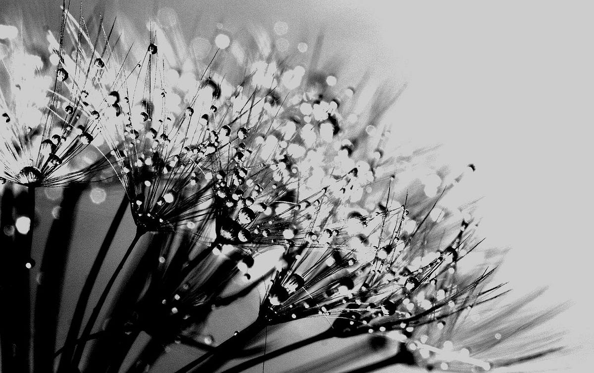 Surprising Find Cerave Skincare Products Now Available at Walgreens