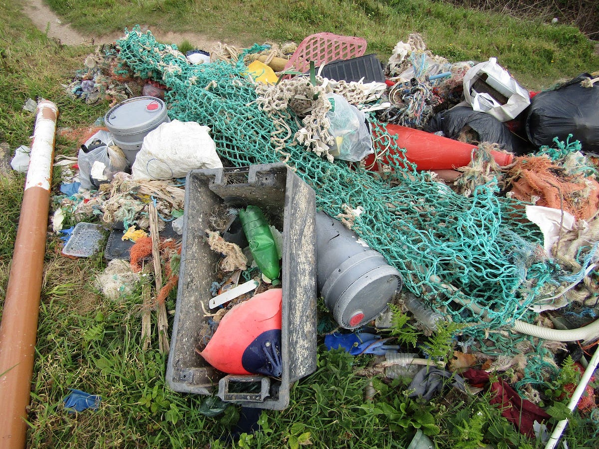 Why Littering is Bad for the Earth by Venba Kathir Medium