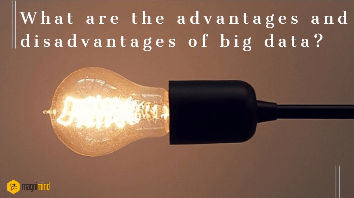 WHAT ARE THE ADVANTAGES AND DISADVANTAGES OF BIG DATA? by Magnimind