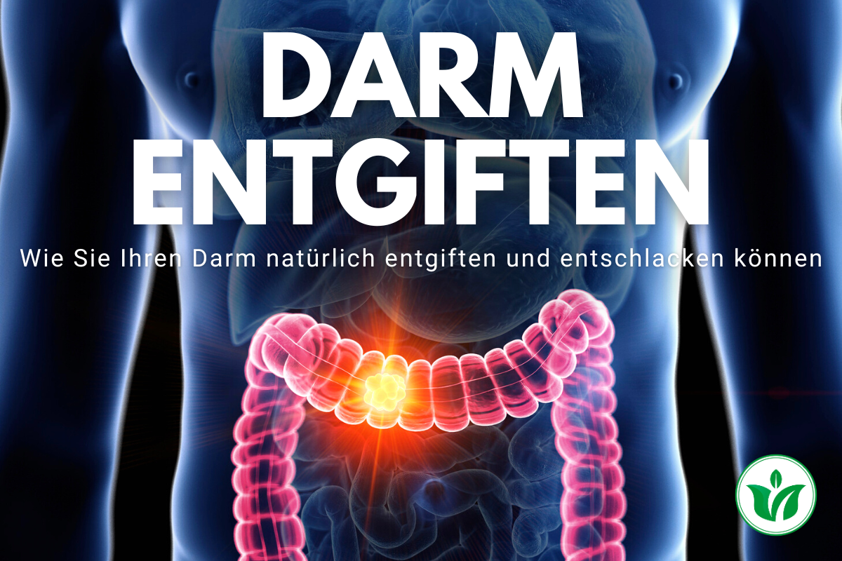 Gut in Form: Wie Sie Ihren Darm natürlich entgiften und entschlacken können