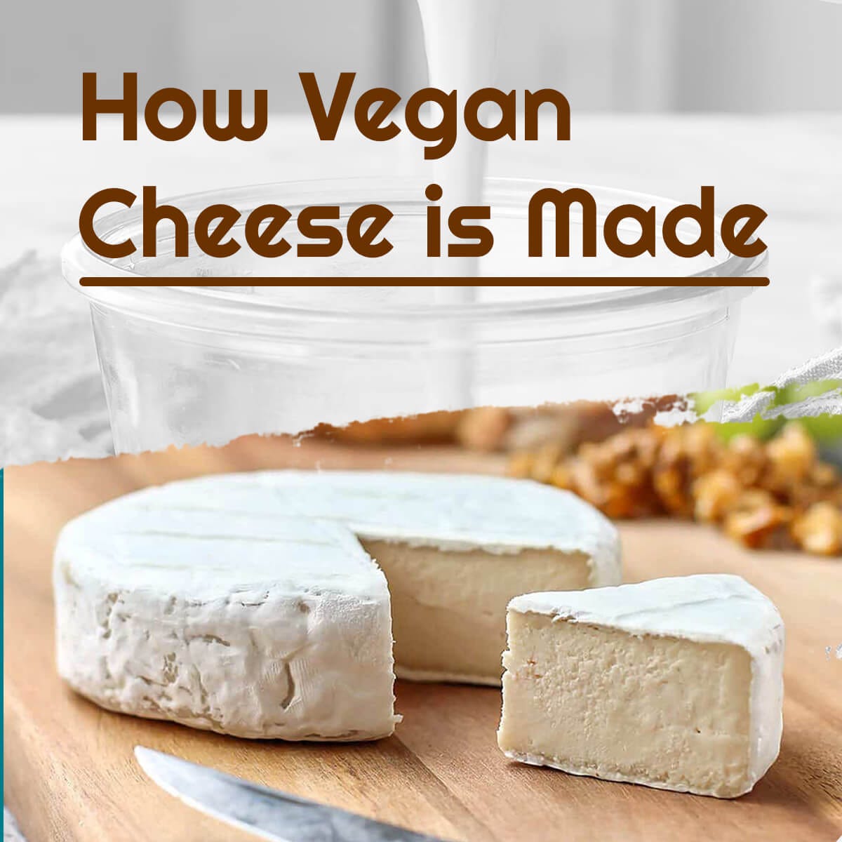 How Vegan Cheese is Made? 🌱VEGi1 Veganism Online magazine Medium