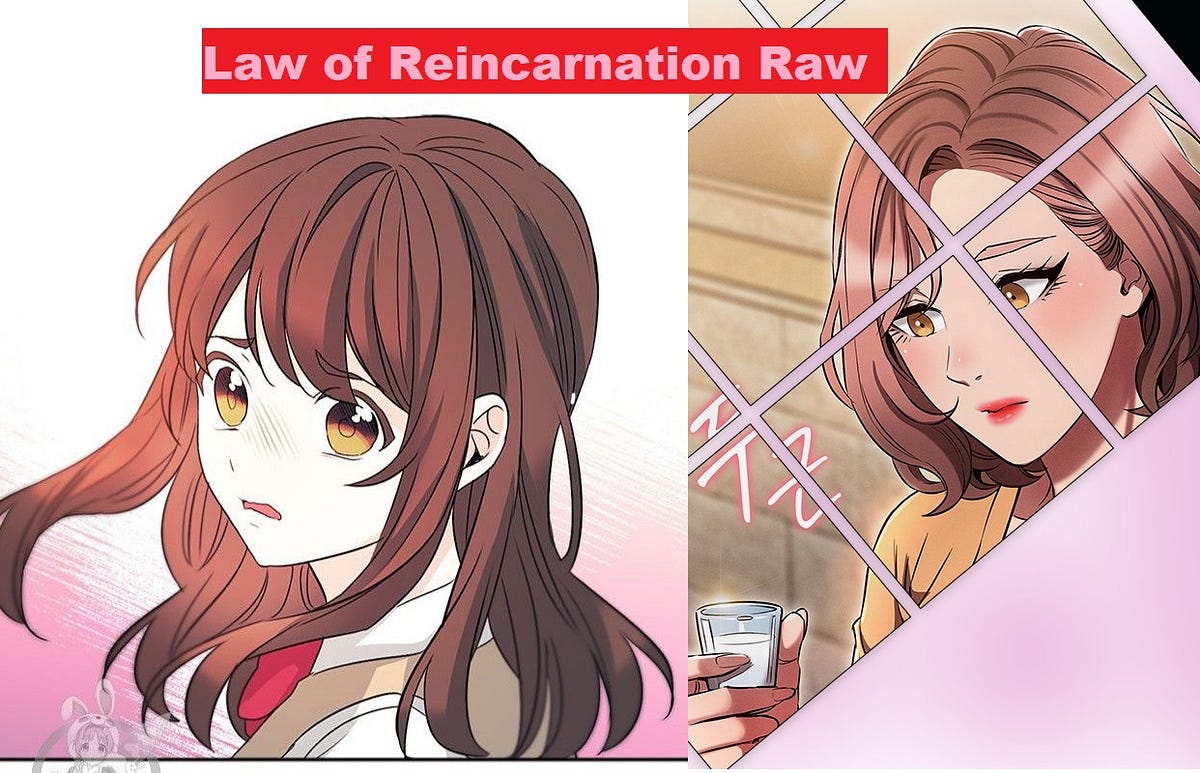 The Law of Reincarnation Raw: Demystifying the Afterlife Journey | by