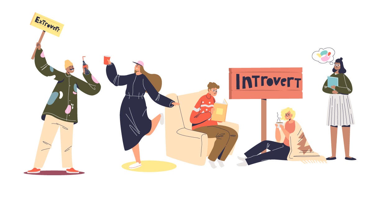 More Assertive A Guide for Introverts and High C DISC