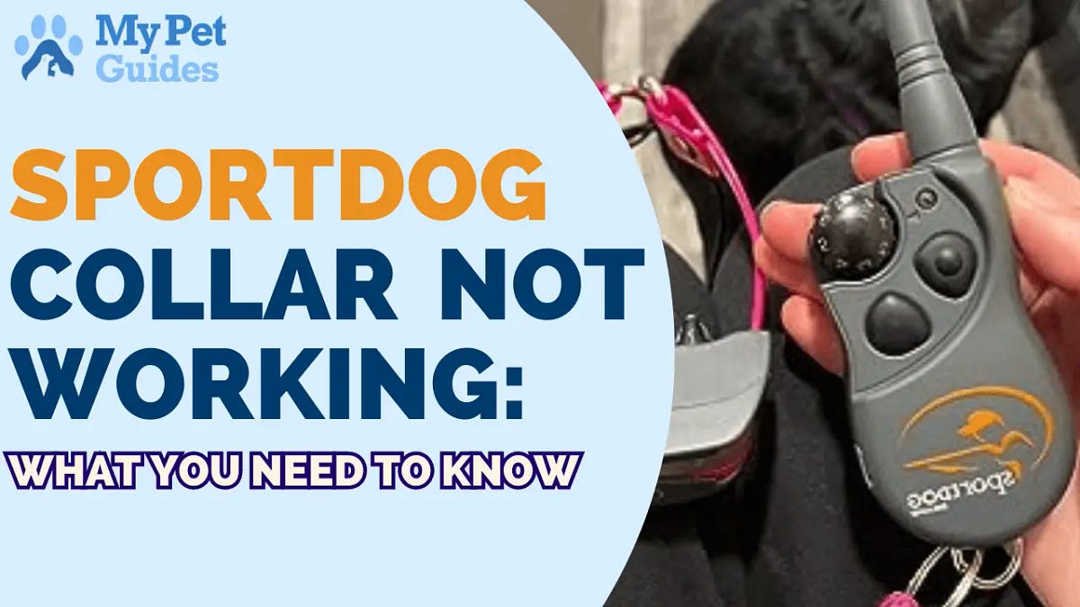SportDog Collar Not Working? Here’s What You Need to Know by Pets
