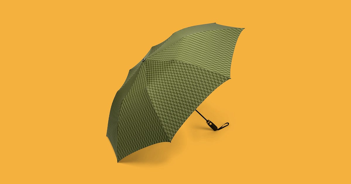 12 Best Umbrellas (2023) Windproof, Cheap, Tiny, and Clear Bubble