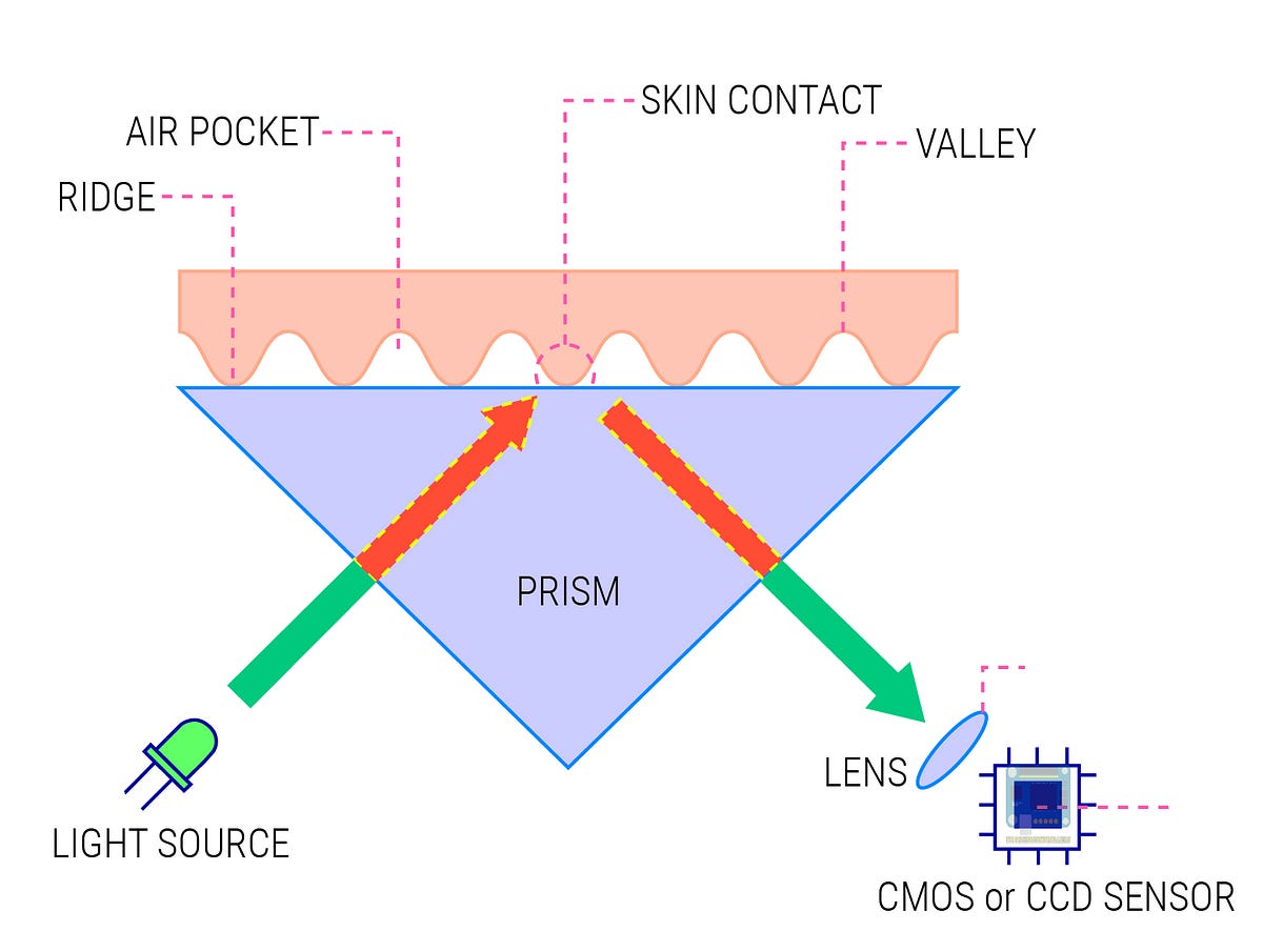 How fingerprint sensors work?. Abstract by Dragoș Bratu Medium
