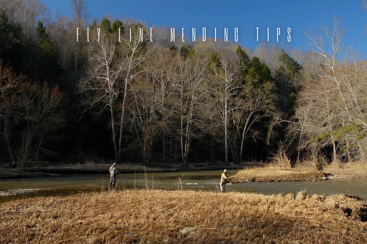 Professional Fly Line Mending Tips by Shane Baker Medium