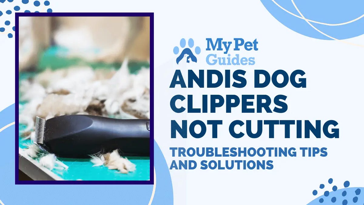 Andis Dog Clippers Not Cutting Troubleshooting Tips and Solutions by