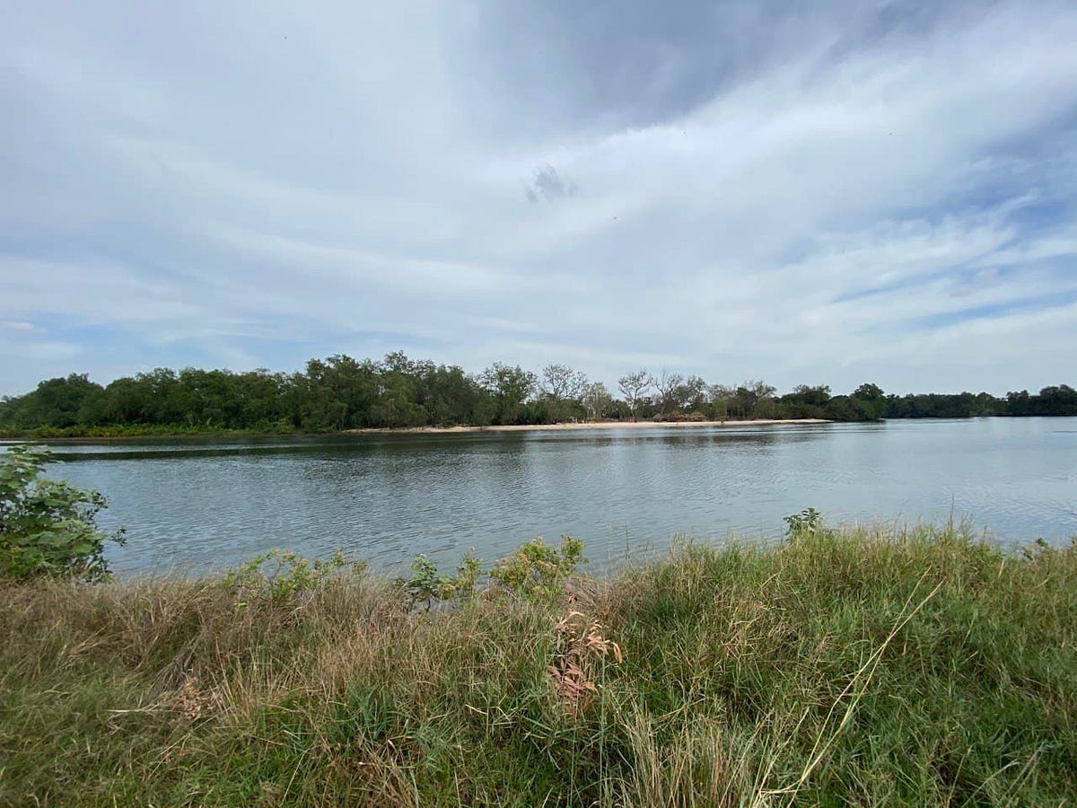 Riverside land for sale in Kampot Hard Title Summary This beautiful riverside land is available