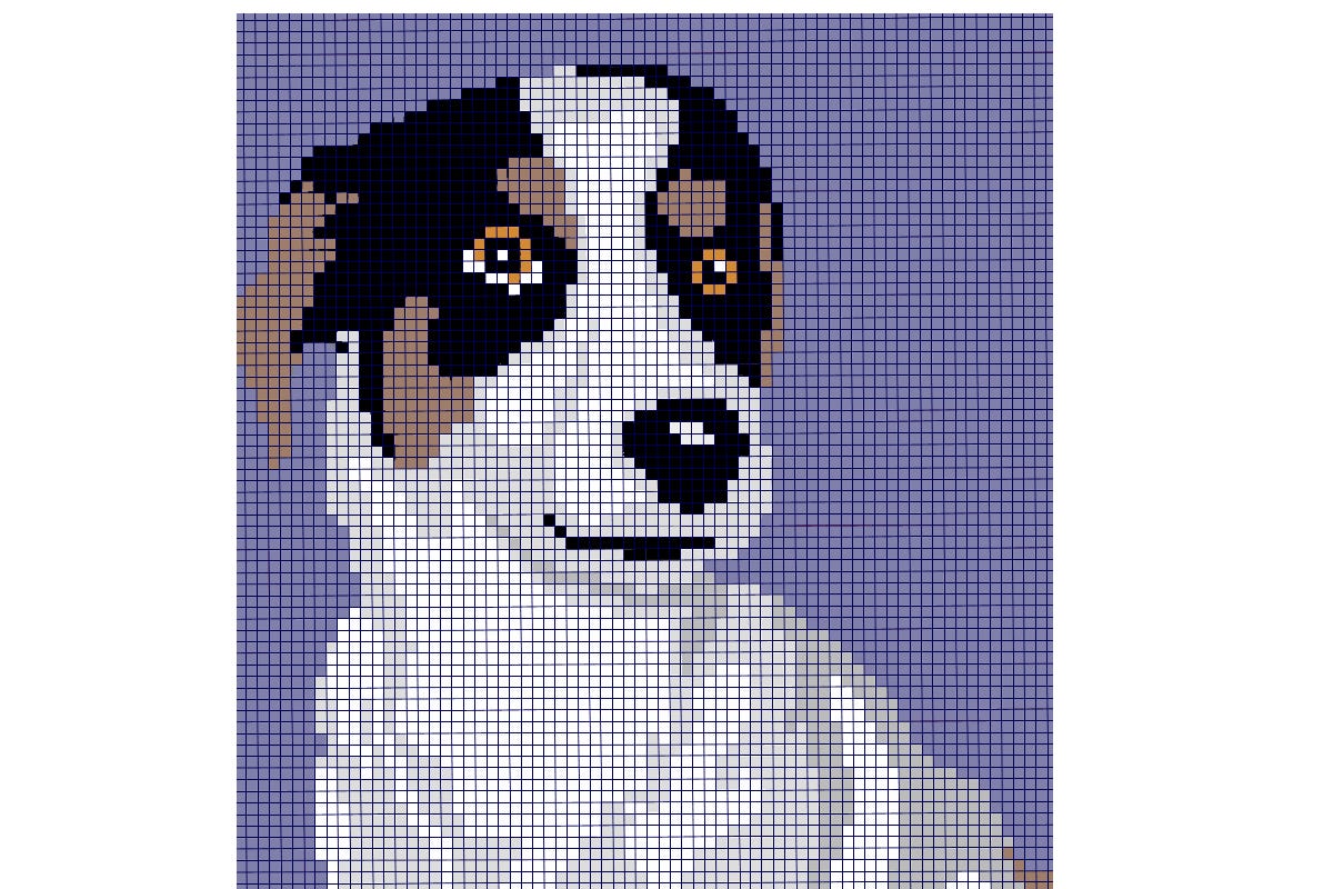 Jack Russel Corner to Corner Throw (Printable Crochet Patterns)