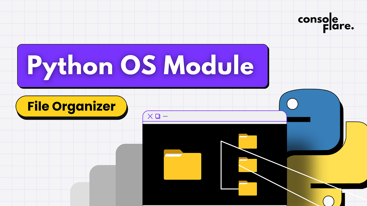 File Oragnizer with Python: A Step-by-Step Guide to Automate File ...