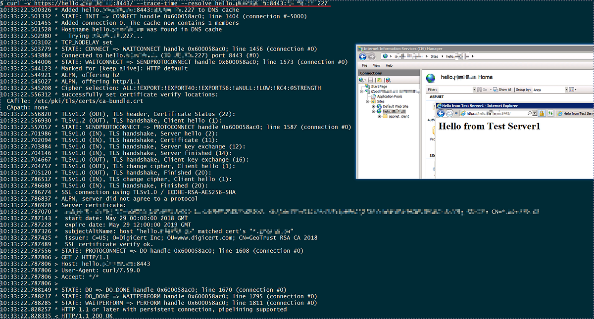 Windows Networking Troubleshooting 5: HTTPS Exceptions in WAF and IIS ...