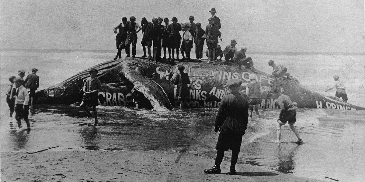 Amazing Private Collection of 120-Year-Old Photos of Western SF