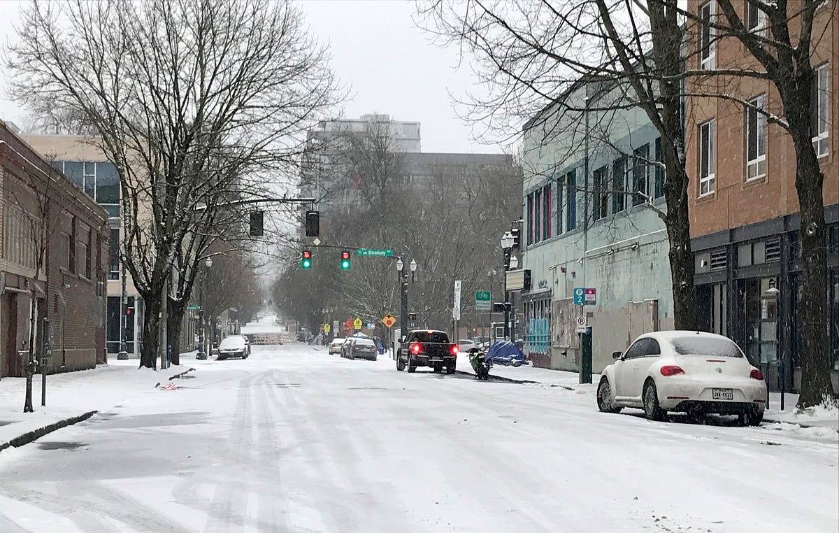 Local Snowfall Recorded As Second Snowiest Day In Portland’s History by The Sunset Scroll