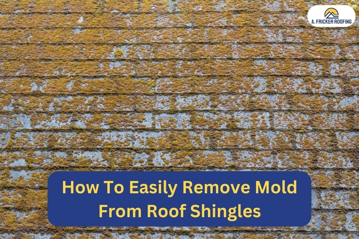 HOW TO EASILY REMOVE MOLD FROM ROOF SHINGLES A. Fricker Roofing Medium