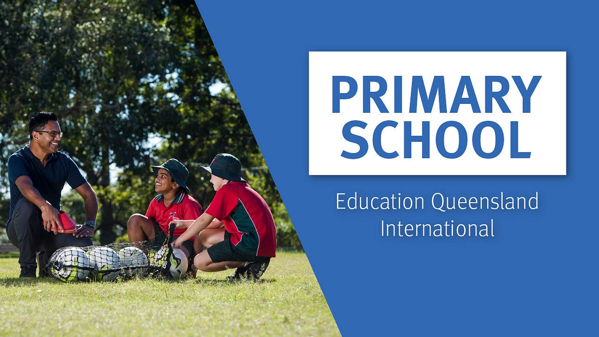 Primary School Definition. Understanding The Definition And… 