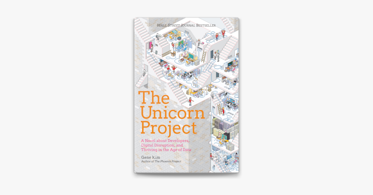 #13 — Unleashing Innovation: Lessons from ‘The Unicorn Project’ a book ...