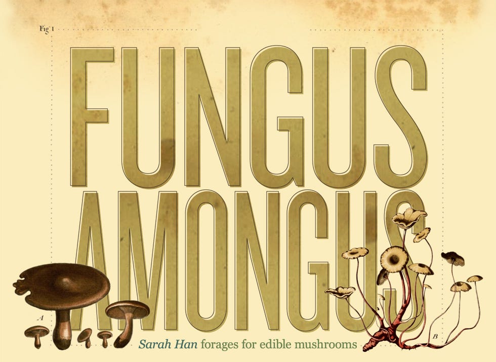 Fungus Amongus