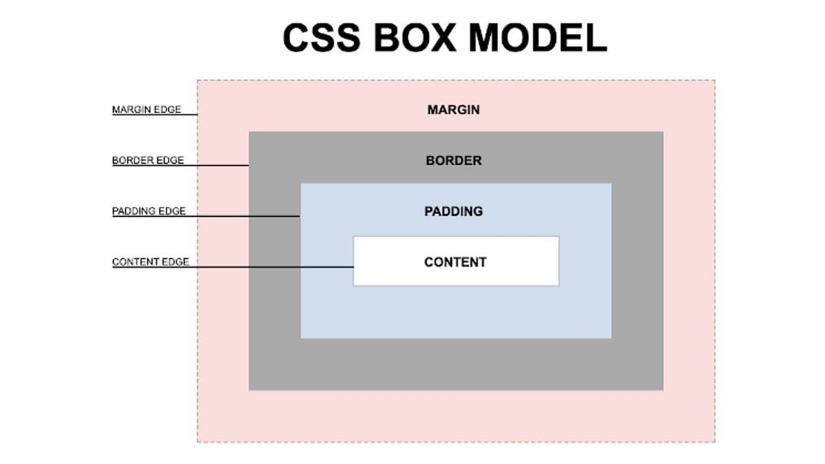 HTML & CSS Basics. HTML: | by Reddi Kalyan C | Medium