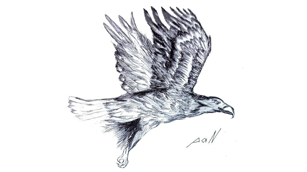 Adler und Dohle · Aesop Fabel