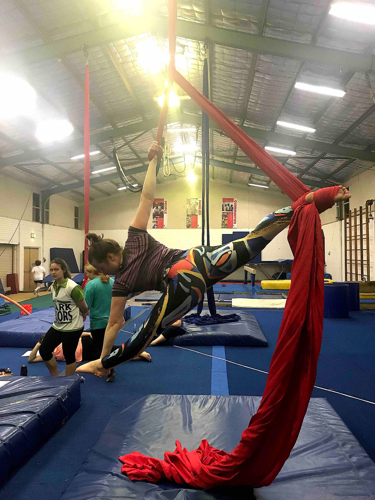 How I prepared for my first aerial silks performance, by The Art Of Flying  Artist