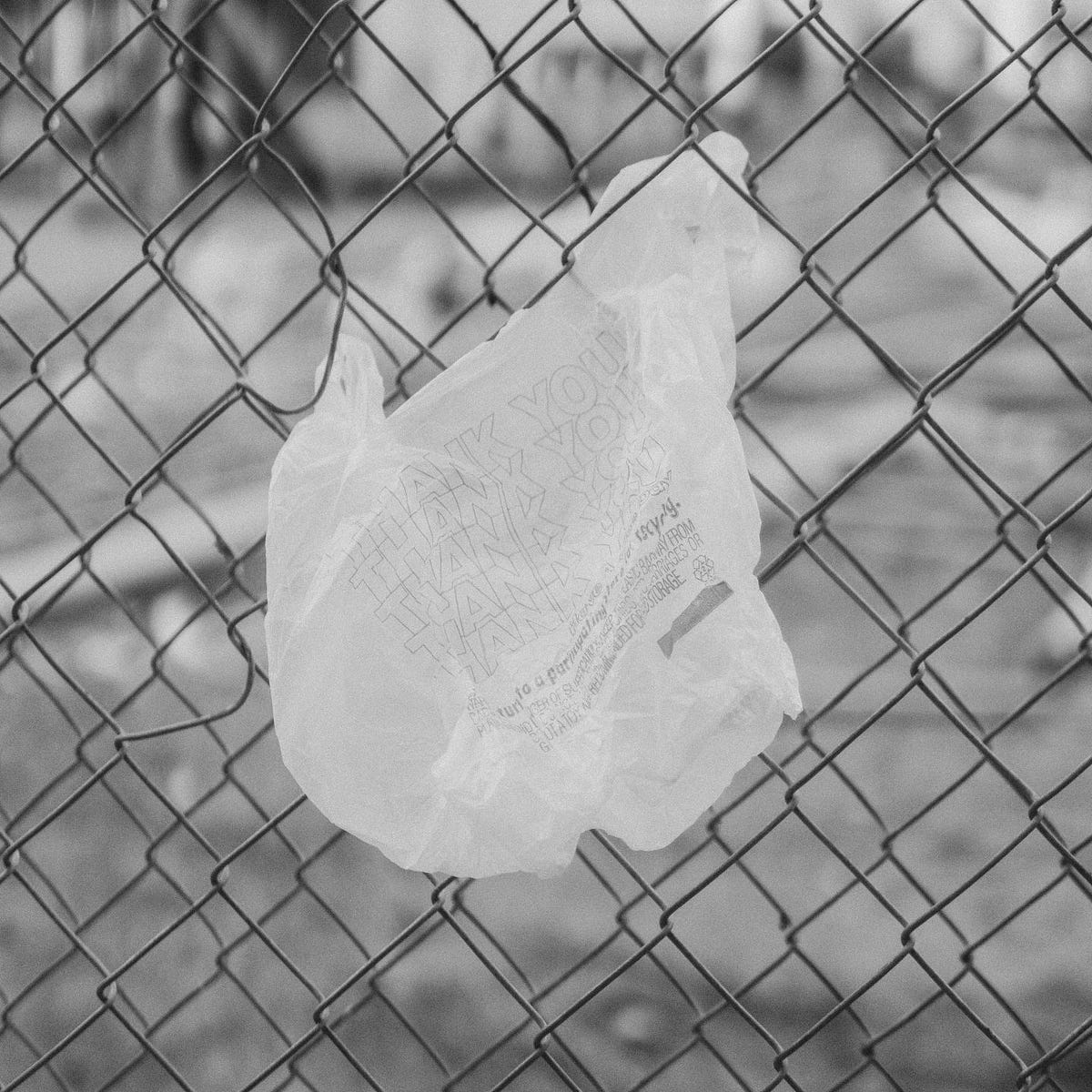 10 Facts About Single Use Plastic Bags By Laura Le Roux Medium