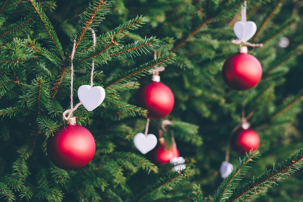 6 Ways To Keep A Real Christmas Tree Alive So It Doesn’t Die Before
