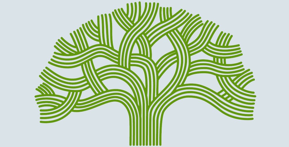 Oakland Nonprofits You Should Know