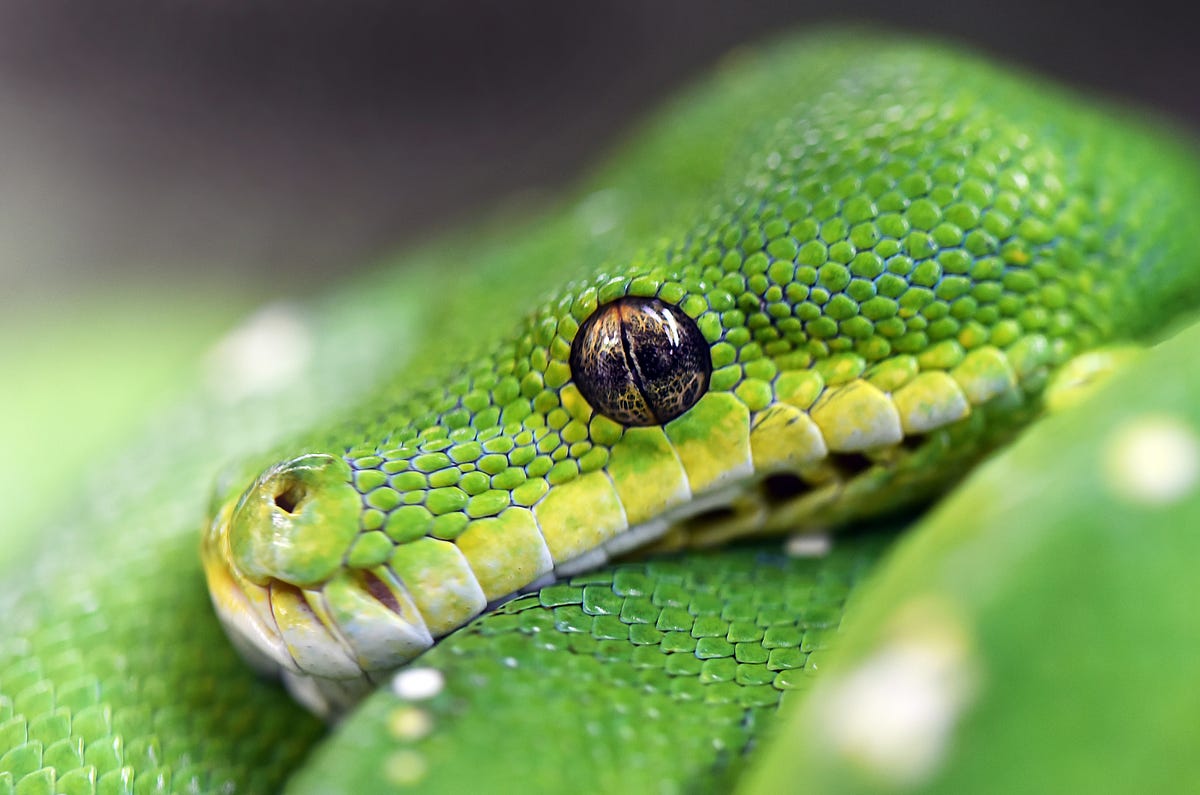 Kedro the best python framework for data science by josue luzardo