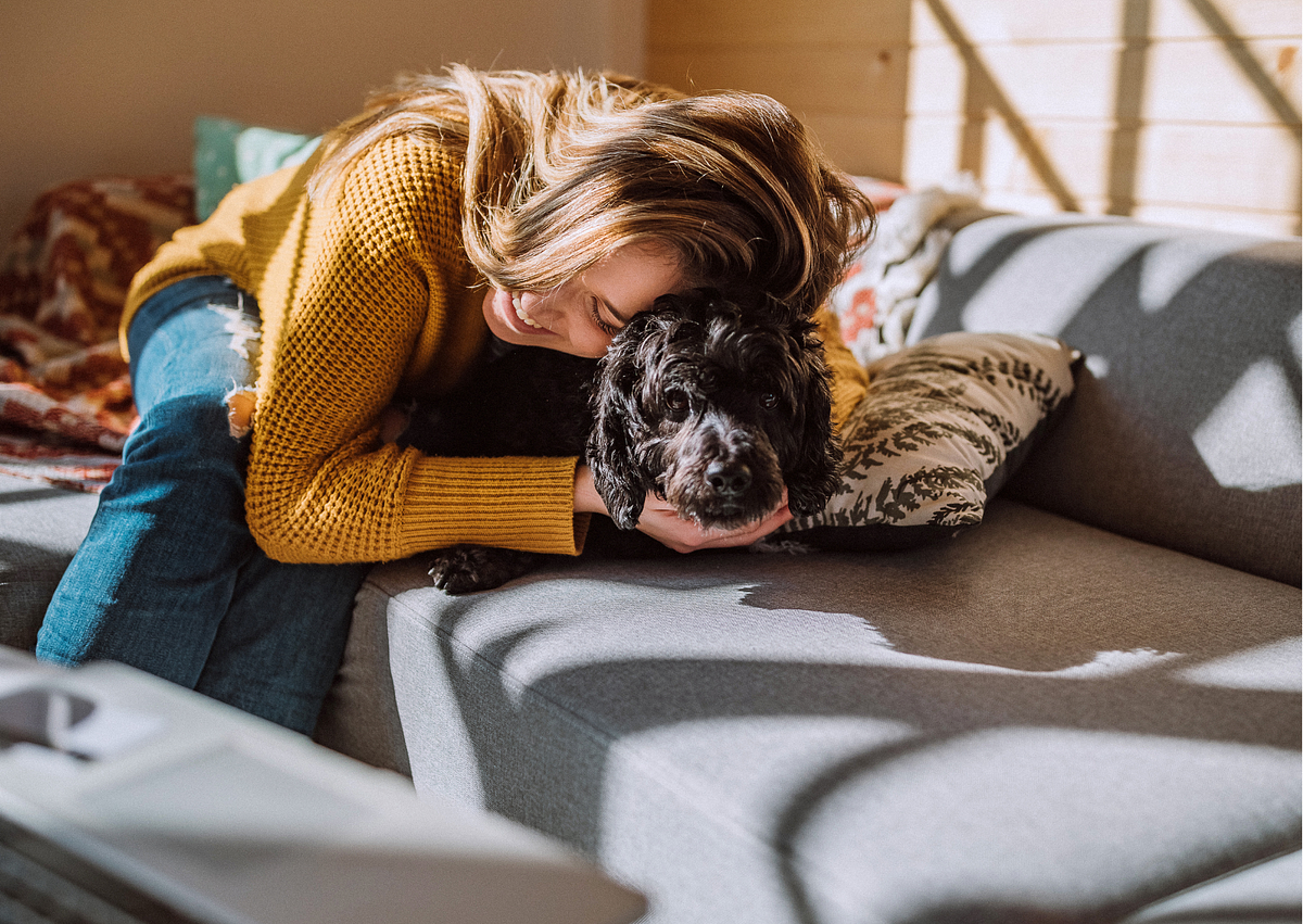 The Ultimate Guide to Pet Friendly Lodging in Branson, MO by Tom