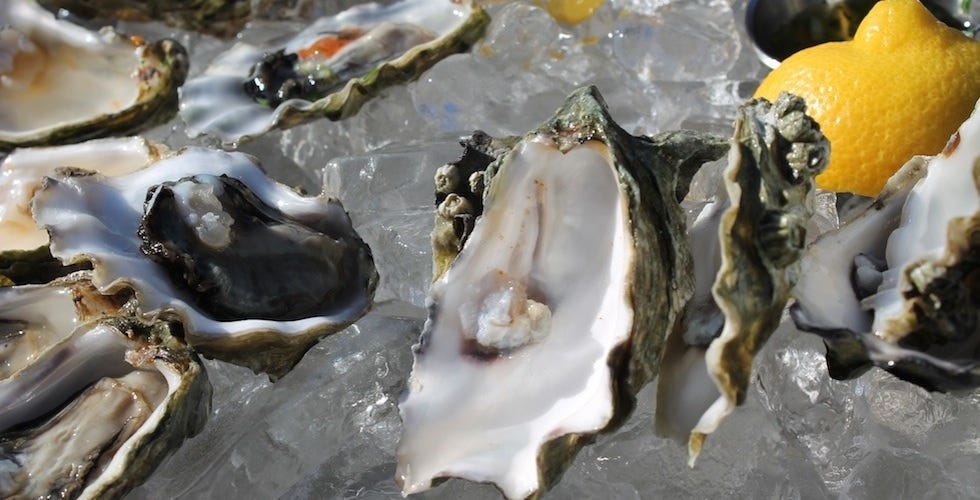 How Exactly Do You Farm Oysters? — The Bold Italic — San Francisco