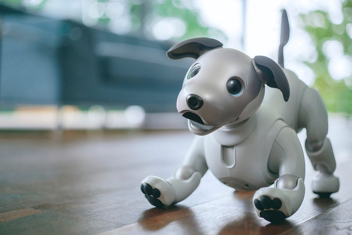 AI Pets — Exploring the World of Virtual Companions  by Girls Rise 4 Responsible AI  Medium