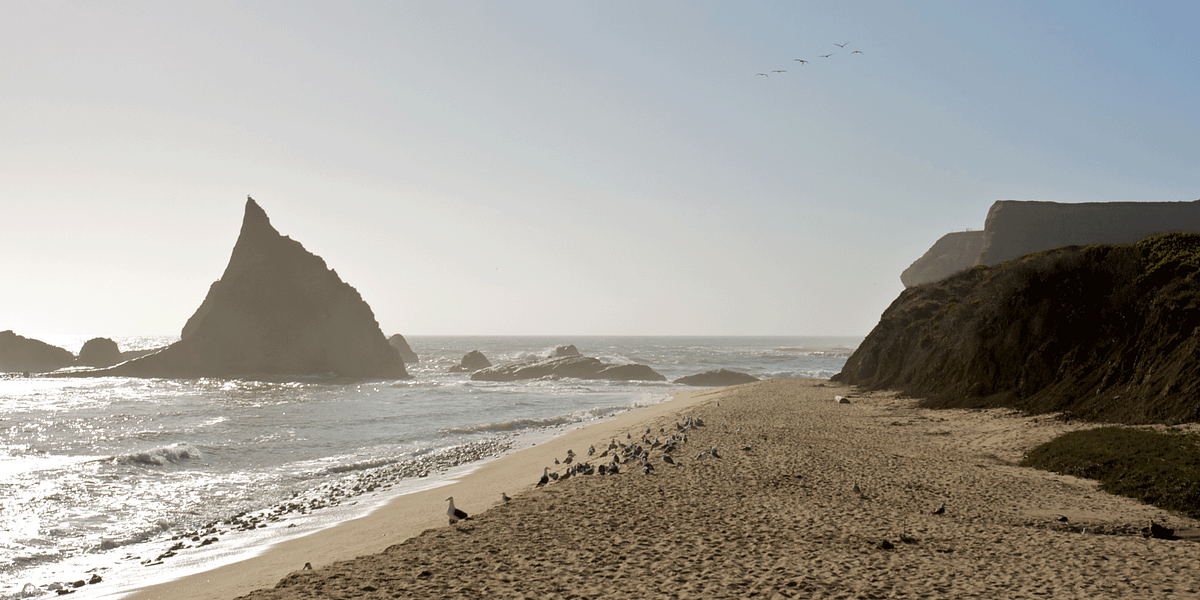 Billionaire Refuses to Open Public Beach Access — The Bold Italic — San Francisco