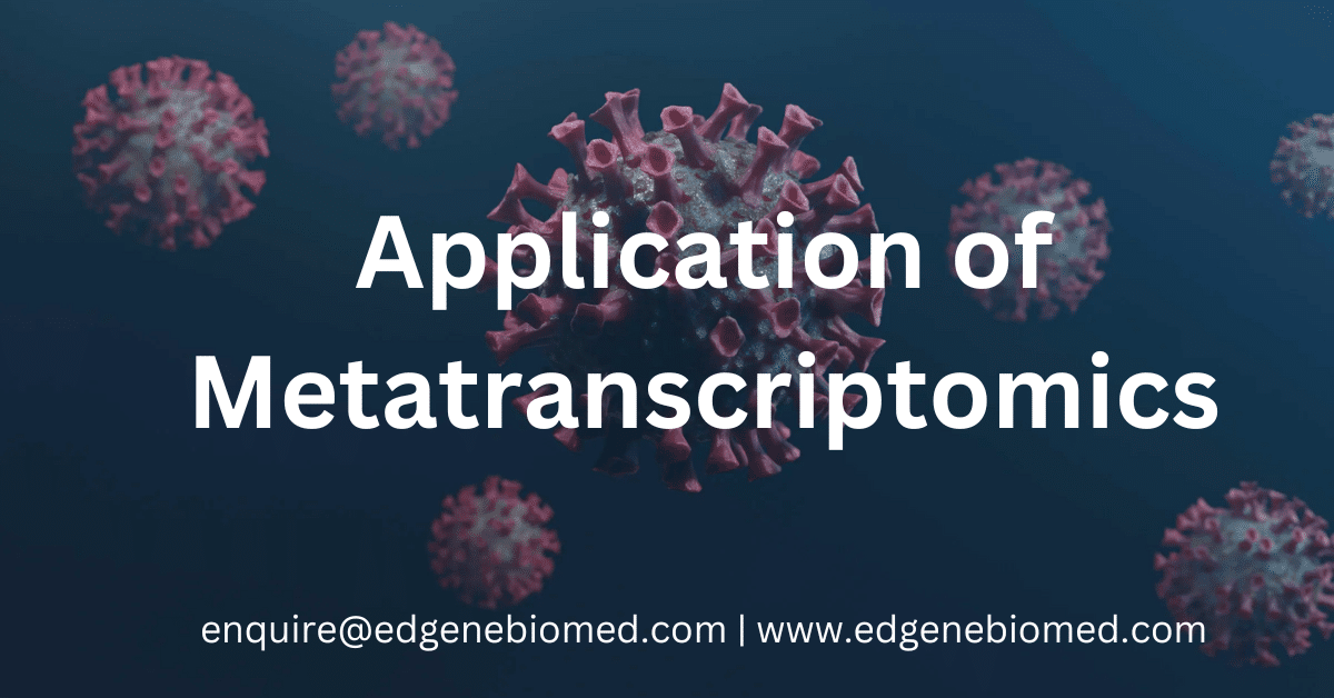 Applications of Metatranscriptomics: Unveiling the Microbial World