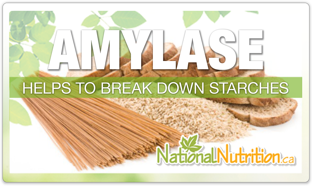 Amylase The enzyme that breaks down complex carbohydrates by Sumeya