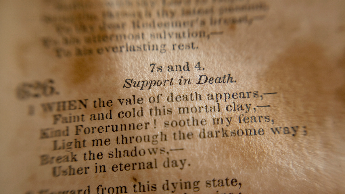 Salmo 7 Ministério Veredas Do IDE Medium