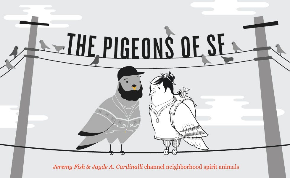 The Pigeons of San Francisco
